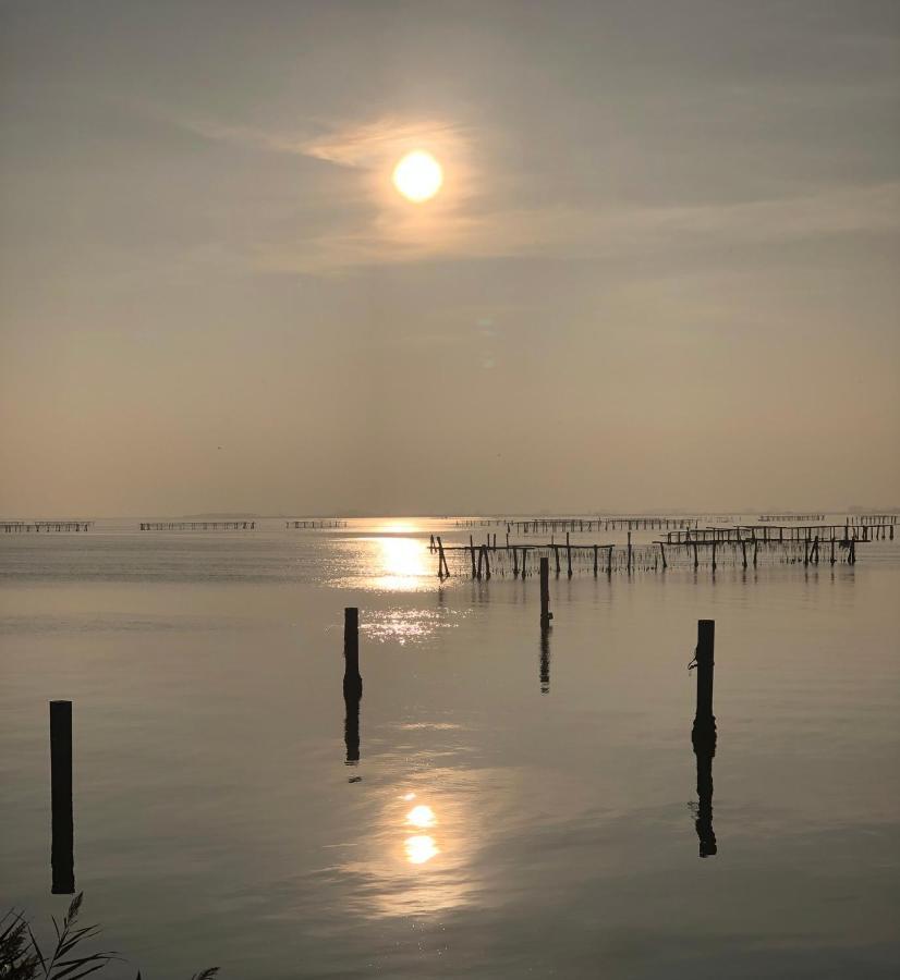 Mare&Terra... Alloggi Nel Delta Polesine Camerini Exterior photo